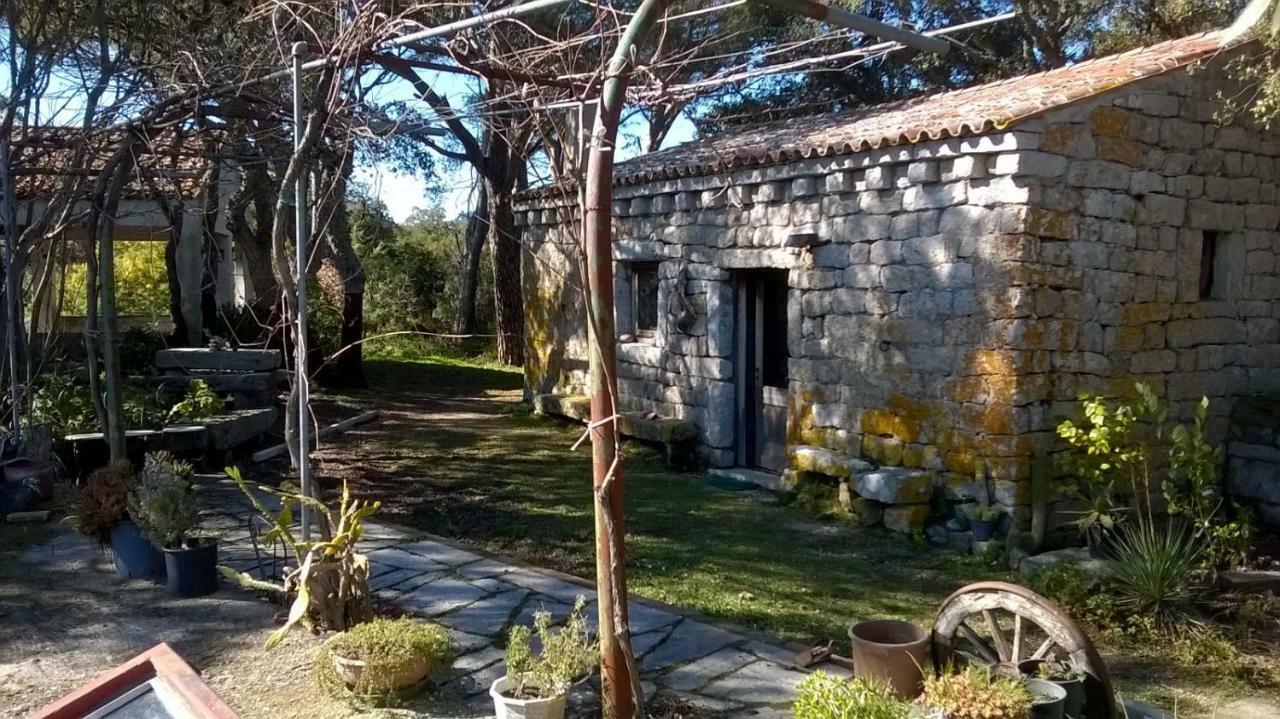 Agriturismo La Vigna Tempio Pausania Extérieur photo