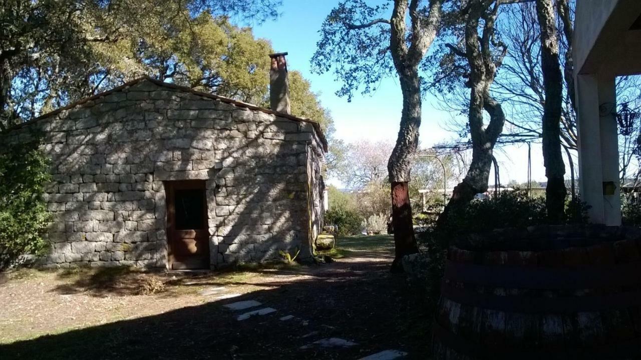 Agriturismo La Vigna Tempio Pausania Extérieur photo
