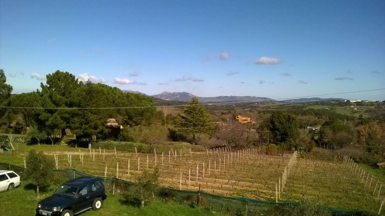 Agriturismo La Vigna Tempio Pausania Extérieur photo